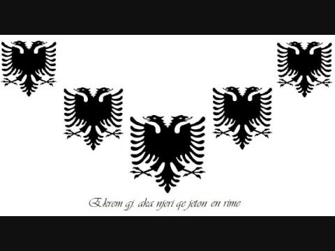 Ekrem gj. - Fjalori (Fuga diss)