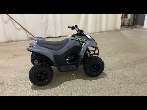 New 2024 Kawasaki KFX 50, Williamson NY | Specs, Price, Photos