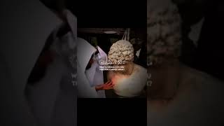 Download lagu Surah As-Saffat (Ayah 92-93) mp3 Download lagu Surah As-Saffat (Ayah 92-93) mp3