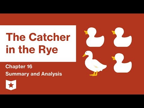 rye catcher chapter summary character characters plot study guide themes salinger main setting analysis hero course