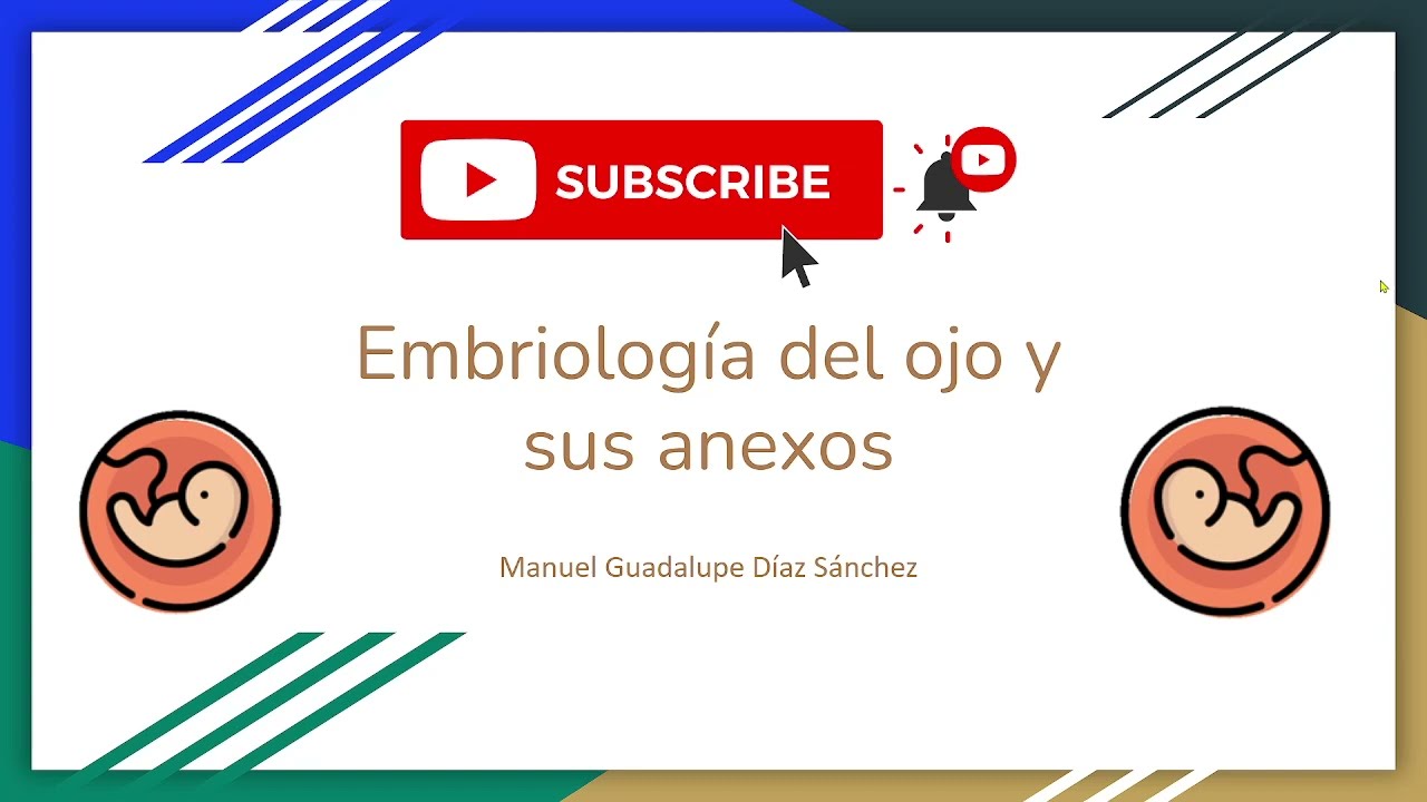 Embriología del ojo y sus anexos