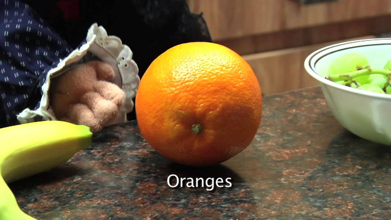 Oneida Language Puppet show