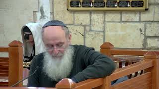 שמשון – אישיות יחודית שפועל לבדו – שיעור 55 – ספר שופטים – פרקים י"ד-ט"ו