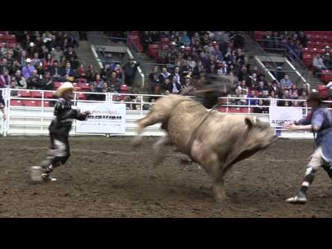 Scott Schiffner wins the Bull Riding on Night Two of the 2013 Calgary Roughstock Rumble