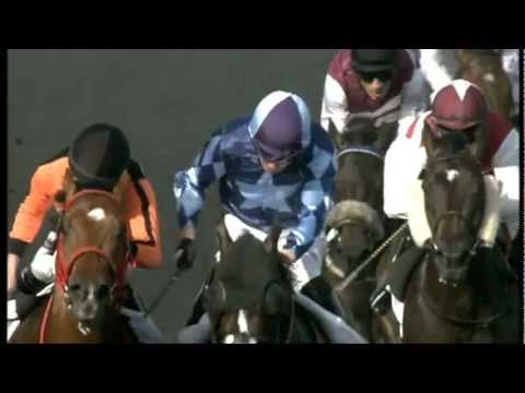17.03.2012 Meydan (Dubai UAE) 1.Race Alpha - Maiden 1.400 m