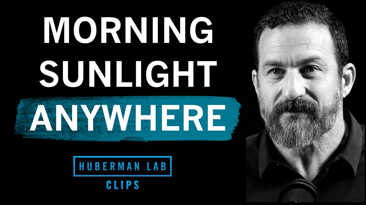 How to Get Morning Sunlight Anywhere You Are | Dr. Andrew Huberman