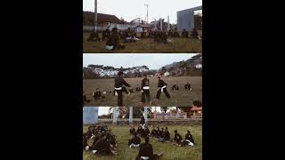 Download lagu story wa PSHT terbaru 2021 lagu psht kekal abadi    #pshtrayonpagersari mp3 Download lagu story wa PSHT terbaru 2021 lagu psht kekal abadi    #pshtrayonpagersari mp3