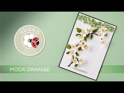 How-to | Mock Orange - Through the Arbor Garden by Susan