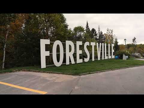 La Route des Baleines - Épisode 8 - Forestville, pas que la forêt