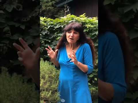 Rosemary Gladstar on Rosemary as an important antioxidant...and why she defends free radicals. 😉😂