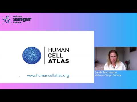 Sanger Seminar - Human Cell Atlas: Mapping the human body one cell at a time - Dr Sarah Teichmann