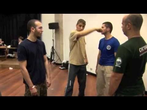 Systema Seminar with Max Franz, Brazil 2009