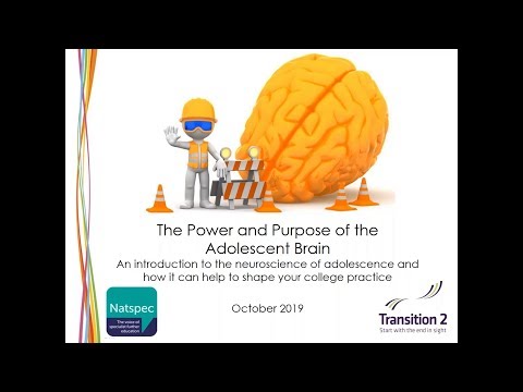 The Adolescent Brain: an introduction to the neuroscience of adolescence