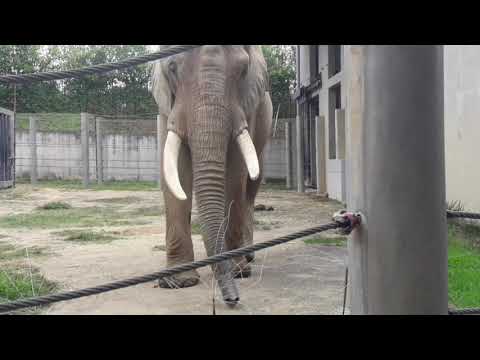 Visita al zoologico Ukumari.