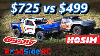 Budget vs Premium!  Which is best?  Corally Shiroi vs Hosim Mojarco
