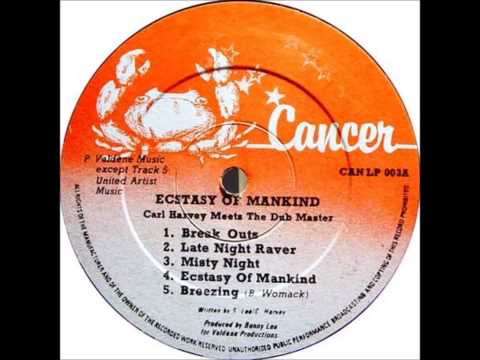 Carl Harvey & The Dub Master - Misty Night