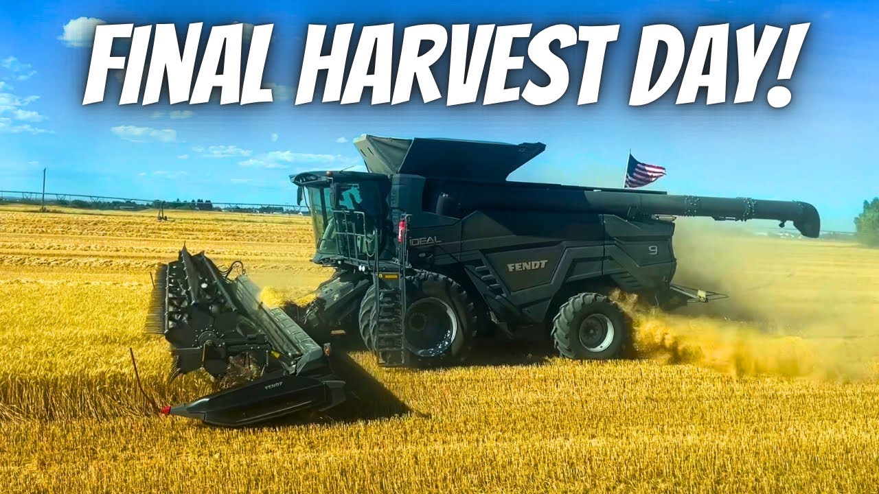 Wrapping up an amazing wheat harvest!