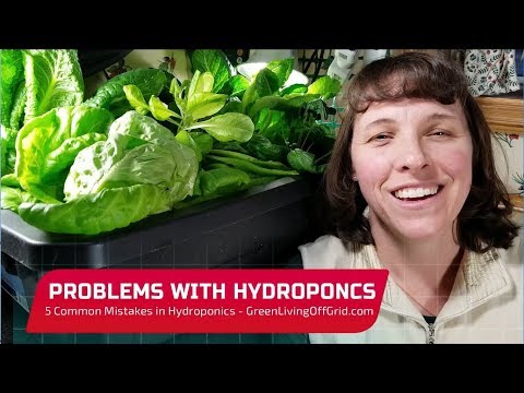 Problems in Hydroponics  - Avoiding 5 Common Mistakes