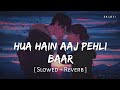 Hua Hain Aaj Pehli Baar Lofi Slowed Reverb Armaan Malik Palak Muchhal SR Lofi