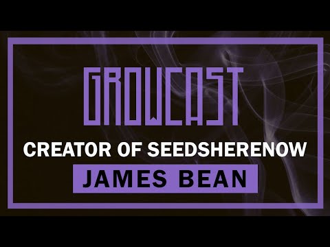 🌱James Bean on Big Breeder Collabs, Strain History, Cannabis Scams and More