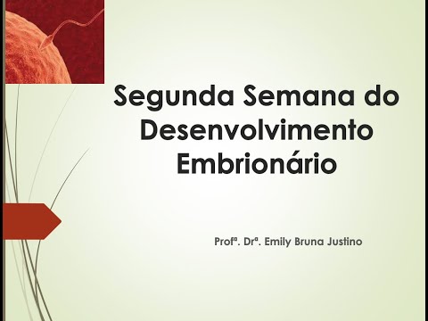 Segunda semana do desenvolvimento embrionário