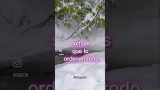 DESPERTAR DE CONCIENCIA