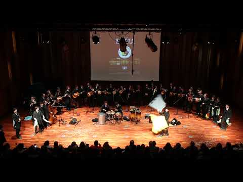 TAB - Mesavina | IV AFTA - Alegado Festival de Tunas Académicas