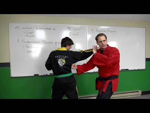 Understanding Body Momentum- Martial Arts Combative Principles