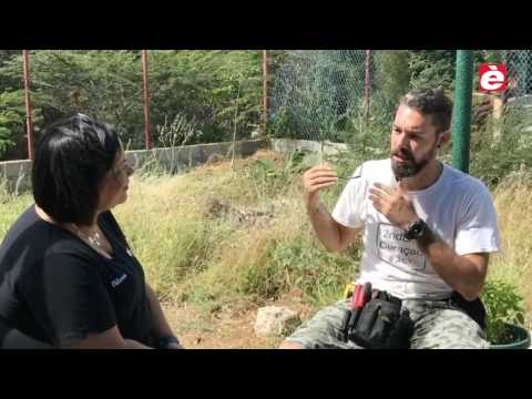 EXTRA Djasabra: Andy Kirchner "Traha duru i stop di keha