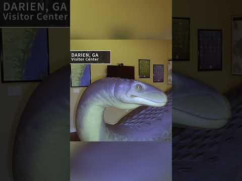 LAKE MONSTER Discovered in Georgia | The Proof Is Out There | The UnXplained Zone | #Shorts