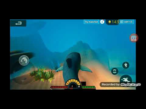 fed and grow fish#2 tubarão tigre vs tubarão branco 😰