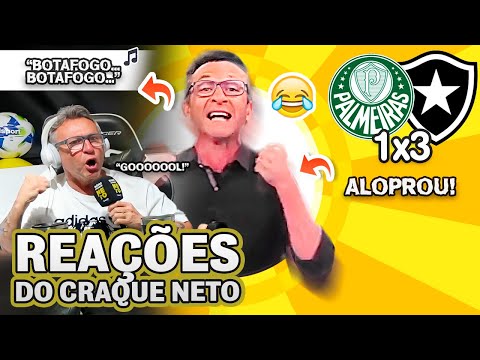 SECOU?! OLHA COMO O CRAQUE NETO REAGIU A PALMEIRAS 1X3 BOTAFOGO PELO BRASILEIRÃO