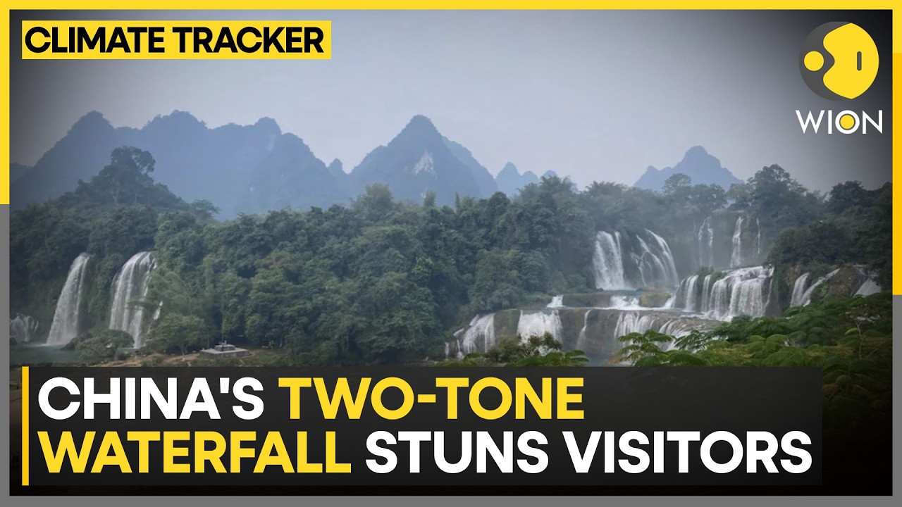 China’s Two-Tone Waterfall Stuns Visitors; Watch The Rare Yellow River Phenomenon | WION