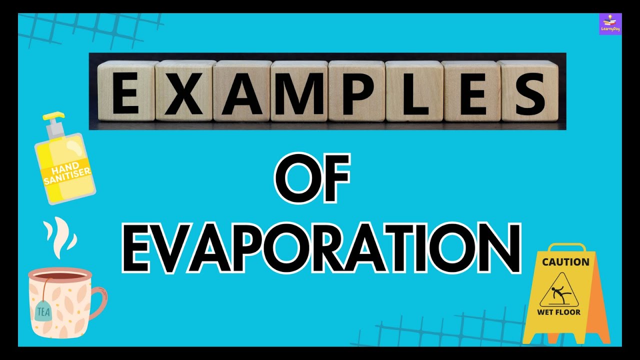 Common Examples Of Evaporation | Evaporation Around Us | Simple Examples Explained |