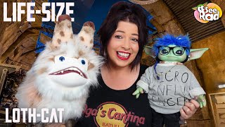 We Adopted a Life-Size Star Wars Loth-Cat - Was It Worth It?