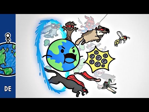 Die Superhelden der Ökologie