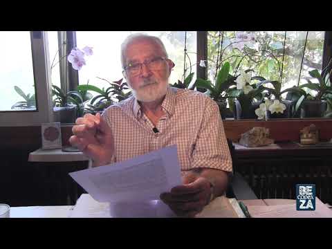 541 Asunción de la Bienaventurada Virgen María // Lc 1,39-56 Códice Beza