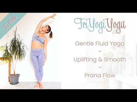 35 MINS YOGA ~ Gentle Dynamic Prana Flow ~ Uplifting & Smooth with Pranayama