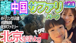 【海外生活】北京いつまでやるのゼロコロナ | トリリンガル8歳の日常 | 近過ぎて恐怖中国サファリパーク
