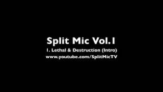 Lethal & Destruction - Split Mic Vol.1