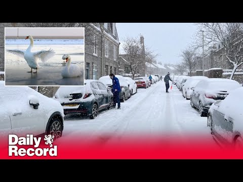 Amber warning for snow as wintry weather continues across the UK