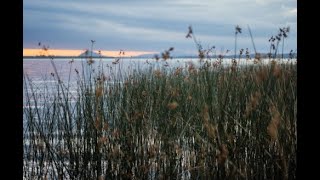 Virtual event - From Agreement to Action: the Central Role of Water to Build Back Biodiversity