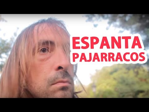ESPANTAPAJARRACOS  - El Serio