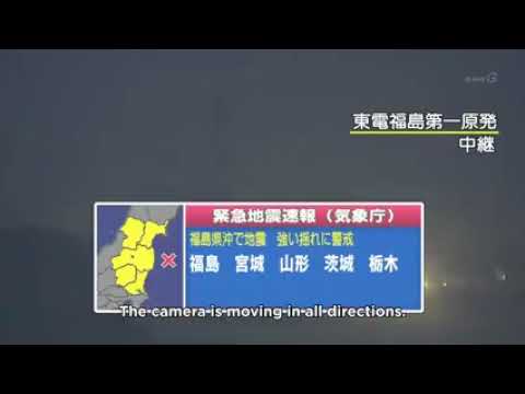 2016 11 22 Japan earthquake and tsunami alert w  roughly translated English subtitles