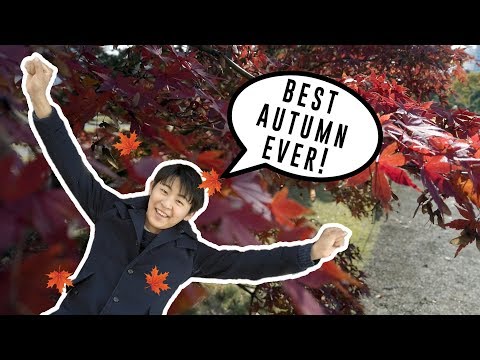 The most beautiful autumn leaves in Tokyo | Hama Rikyu Gardens