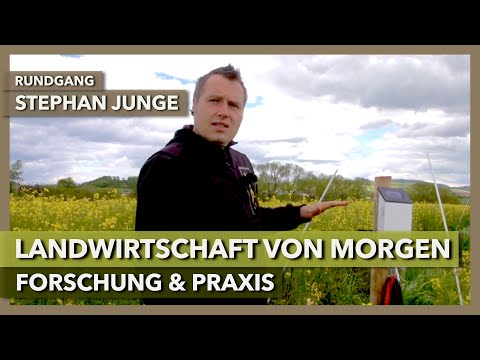 Praxisorientierte Forschung in der regenerativen Landwirtschaft | Stephan Junge | Rundgang 4