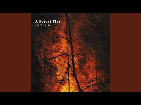 A Forest Fire