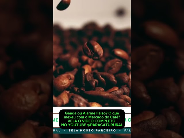 Geada ou Alarme Falso? O que mexeu com o Mercado do Café?