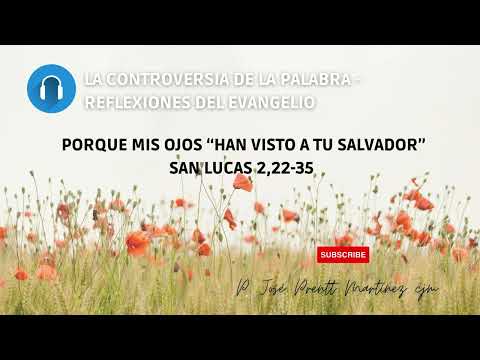 Porque mis ojos “han visto a tu Salvador” San Lucas 2,22-35