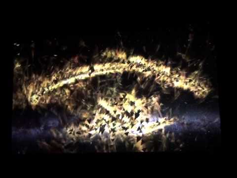 Revision 2012 - PC Demo Compo - Crystal Meth in Space (Live Footage)